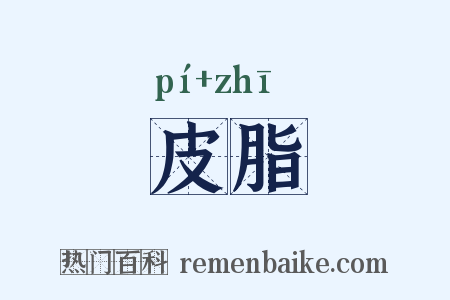 皮脂是什么意思的图片